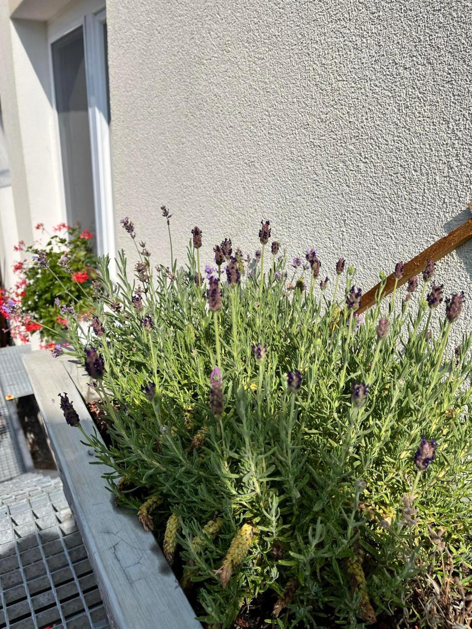 P&P APARTMÁNY Bojnice Esterno foto